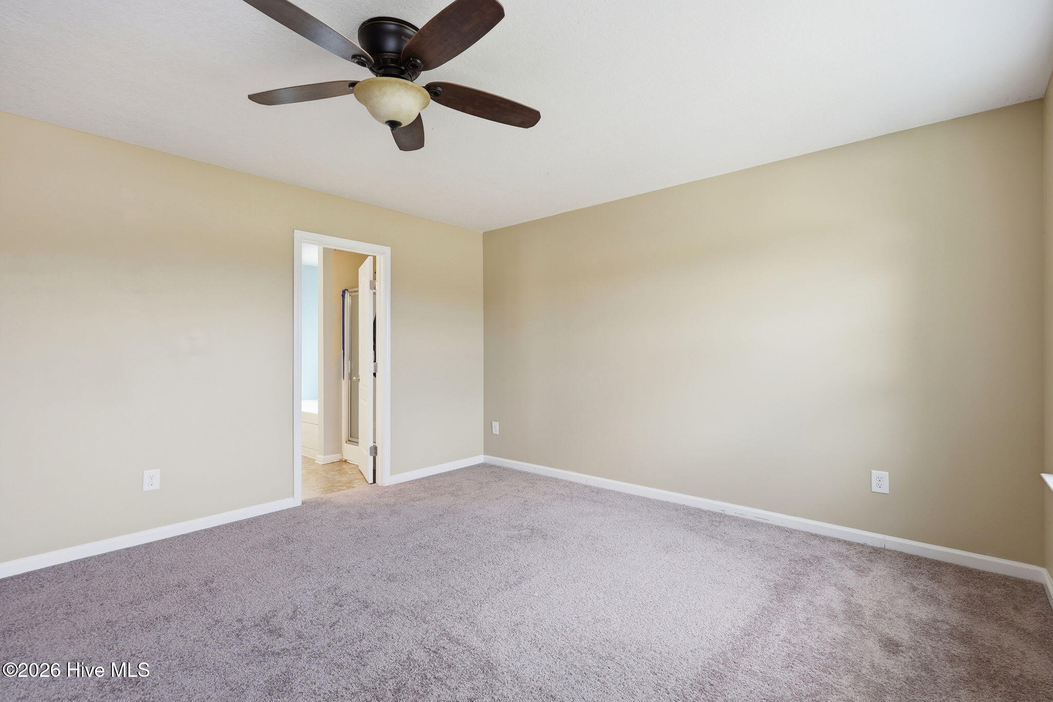250 West Lake Road Raeford, NC 28376 - Photo 20 of 31 43-web-or-mls-IMG_3129