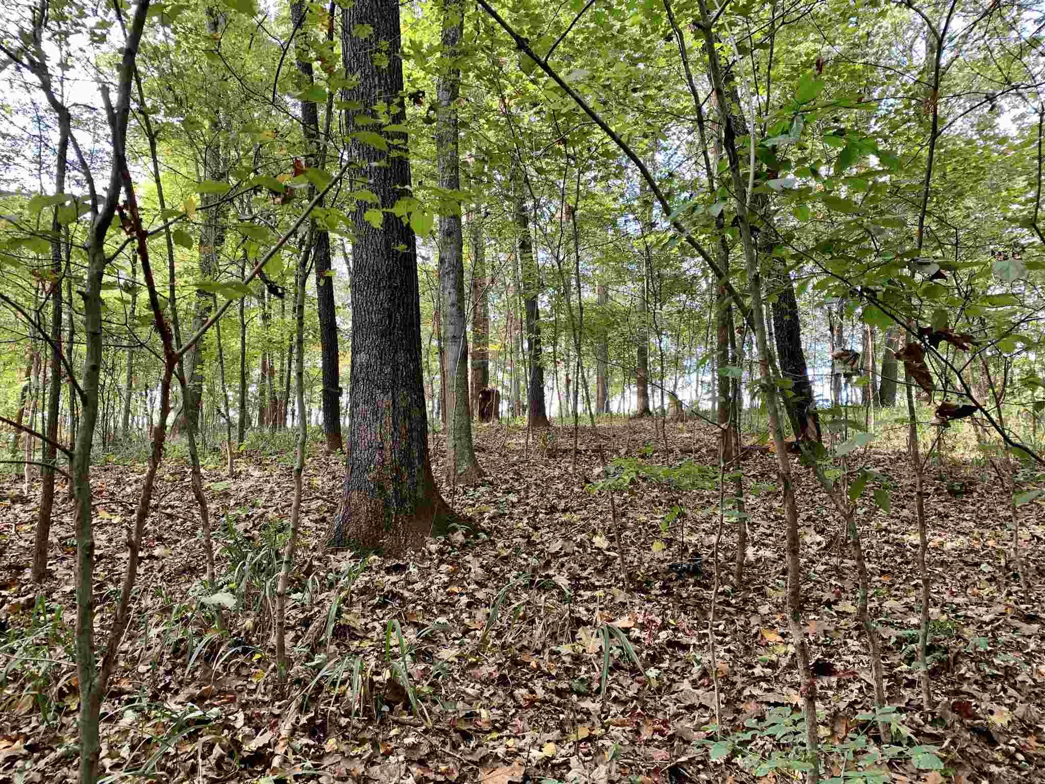 South Mifflin-West Fork Road English, IN 47118 - Photo 14 of 36 Gallery Image 14