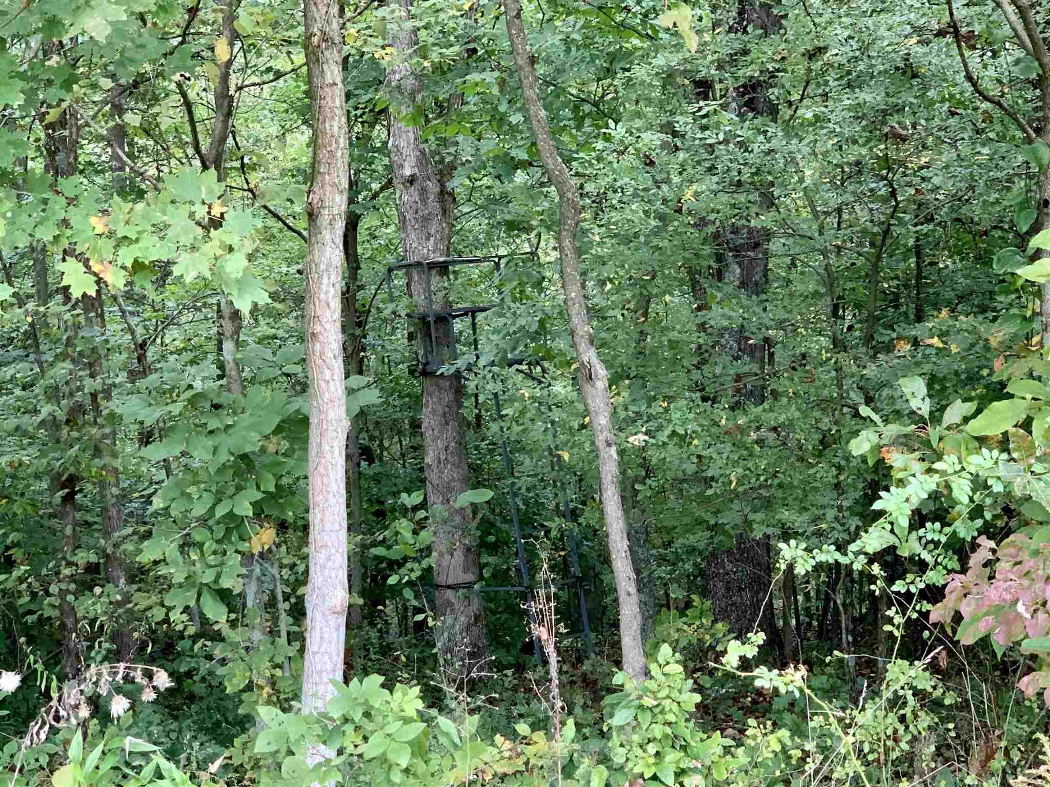 South Mifflin-West Fork Road English, IN 47118 - Photo 29 of 36 Gallery Image 29