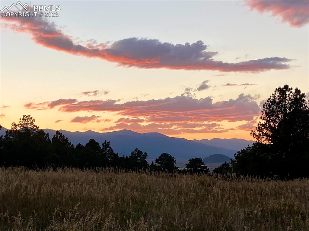 311 Knickerbocker Road Silver Cliff, CO 81252 - Photo 42 of 50