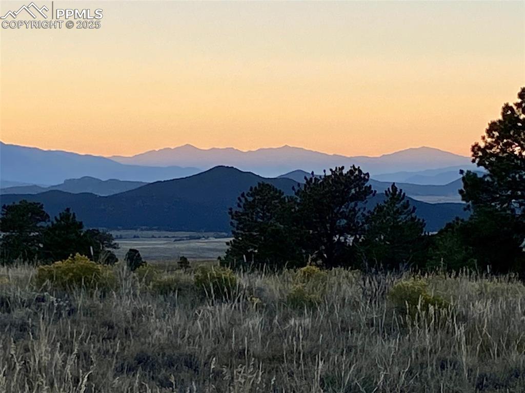 311 Knickerbocker Road Silver Cliff, CO 81252 - Photo 43 of 50 a view of a lush green outdoor space with a swimming pool