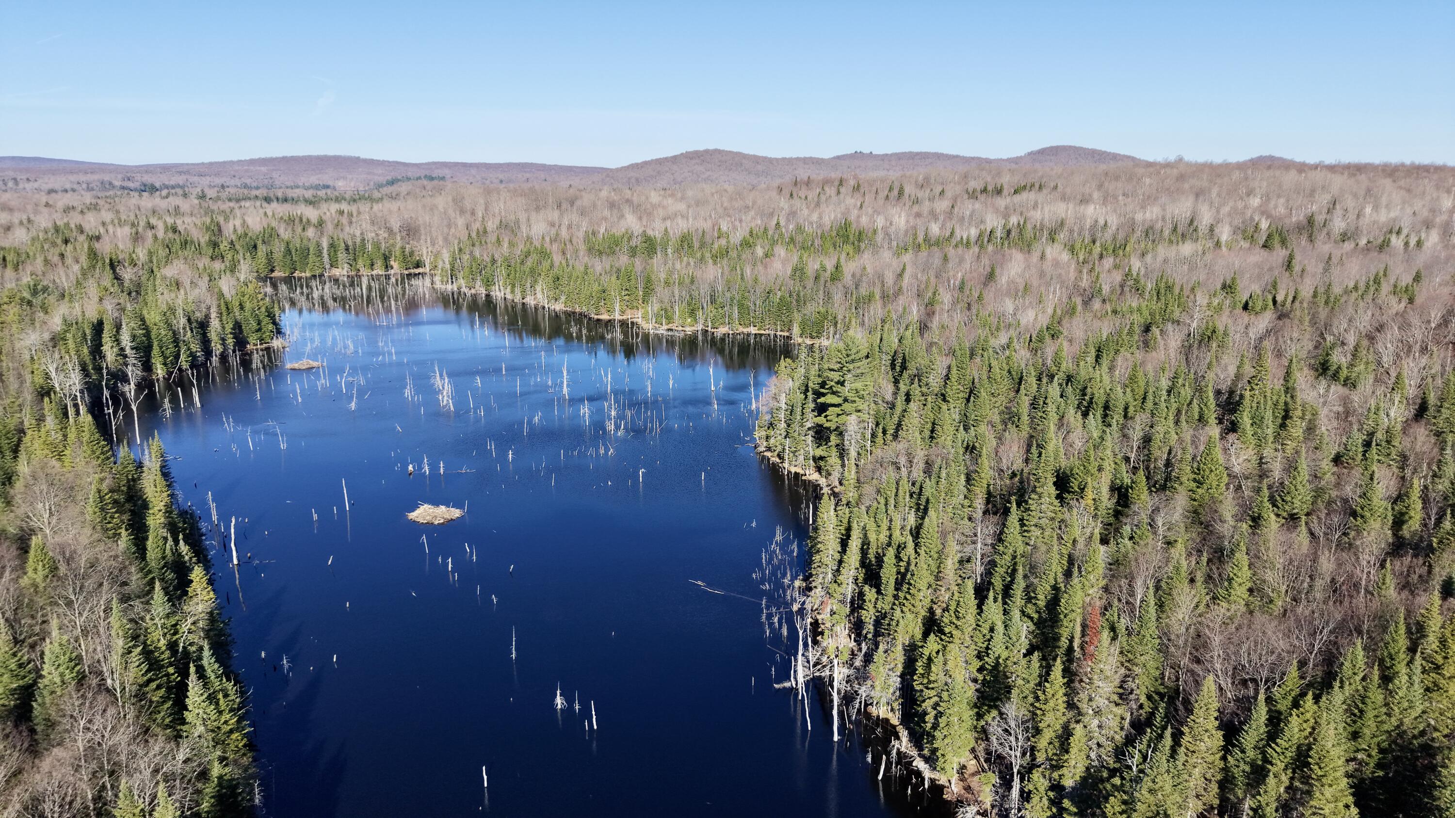37 Trombley Road Malone, NY 12953 - Photo 30 of 34 dji_fly_20260423_084720_0192_17769486628
