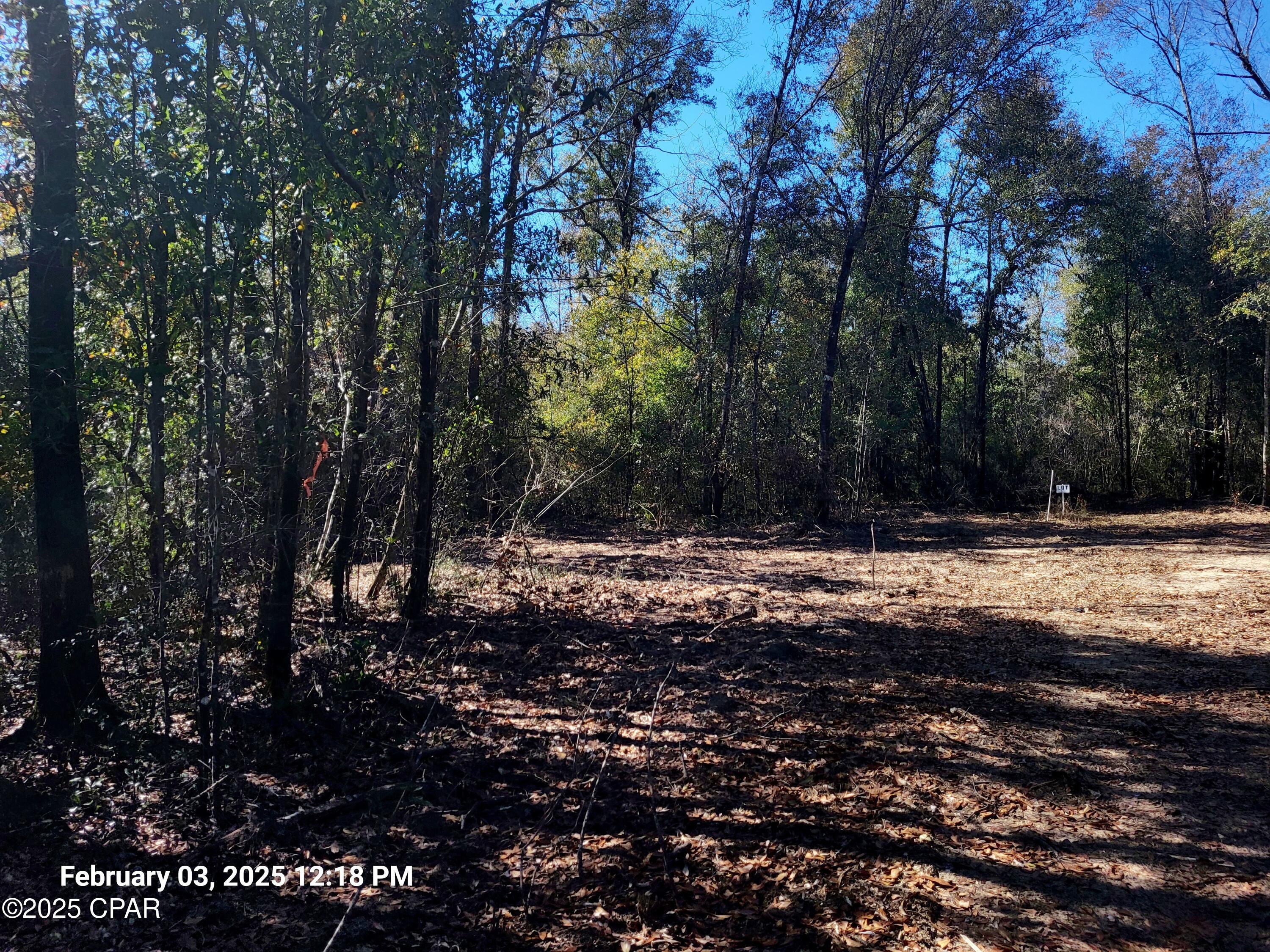 0 Womble Road, Unit LOT 7 Altha, FL 32421 - Photo 12 of 24