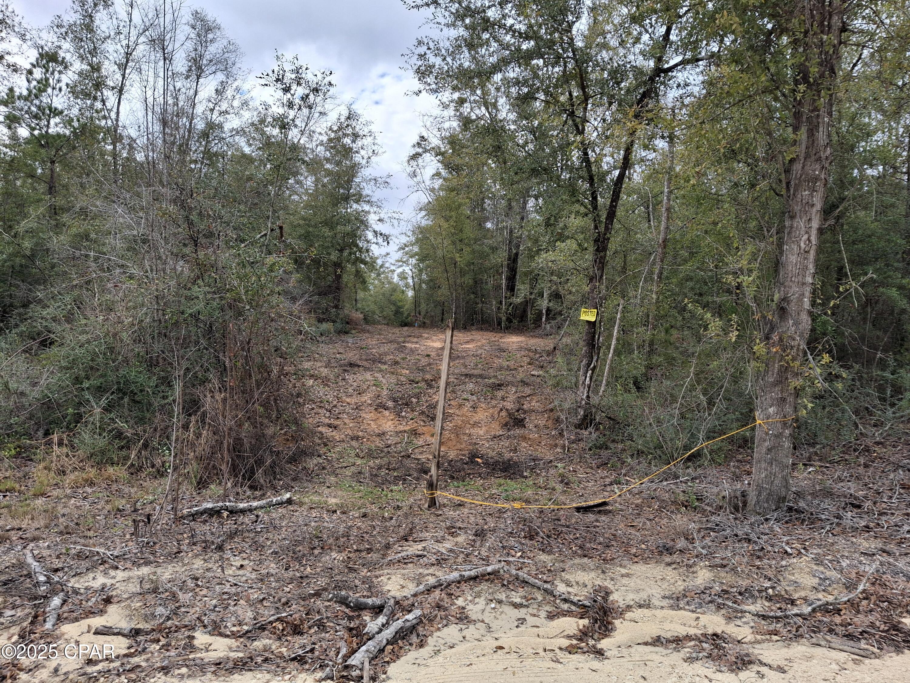 0 Womble Road, Unit LOT 7 Altha, FL 32421 - Photo 14 of 24