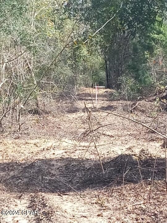 0 Womble Road, Unit LOT 7 Altha, FL 32421 - Photo 23 of 24