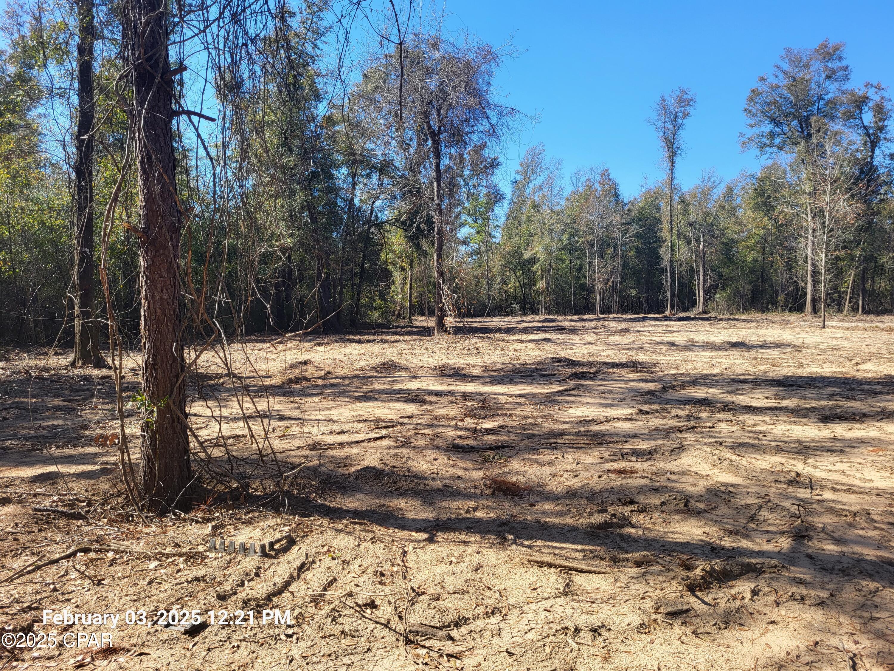 0 Womble Road, Unit LOT 7 Altha, FL 32421 - Photo 8 of 24