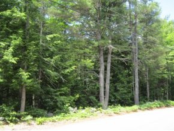 N/a N/a Garney Road Brookfield, NH 03872 - Photo 1 of 3 Gallery Image 1