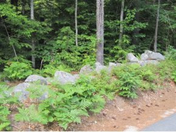 N/a N/a Garney Road Brookfield, NH 03872 - Photo 3 of 3 Gallery Image 3