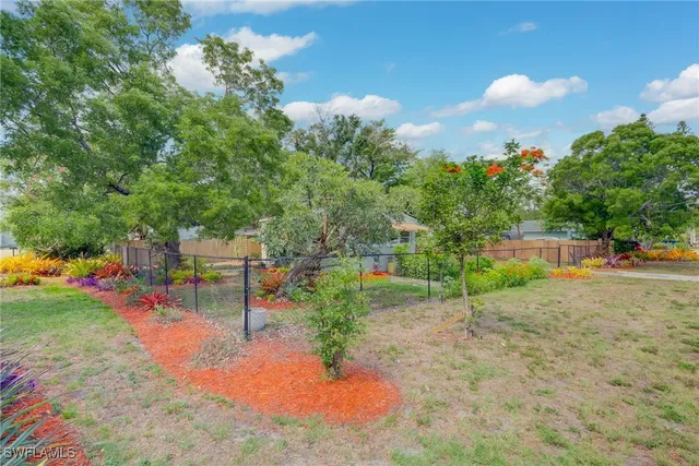 a view of a park with large trees