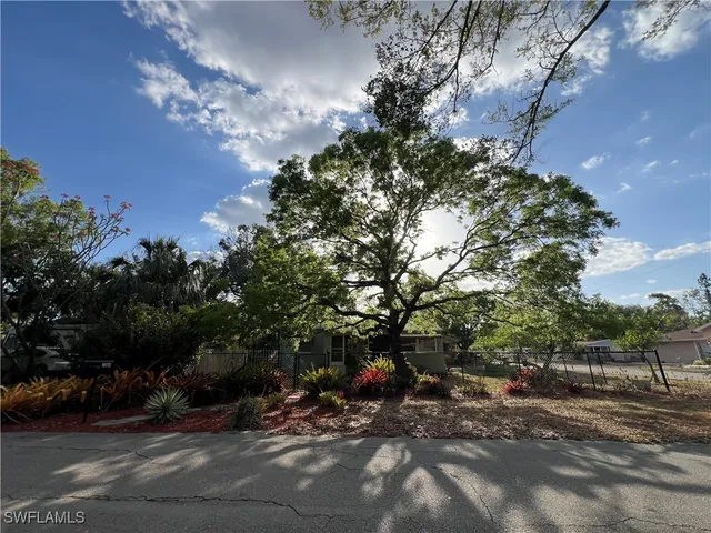a view of a park with plants and trees