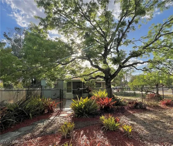 a view of a garden with plants and large trees