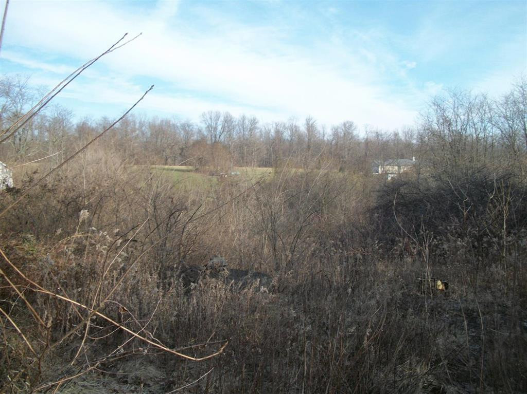 12097 Riggs Road Independence, KY 41051 - Photo 7 of 7