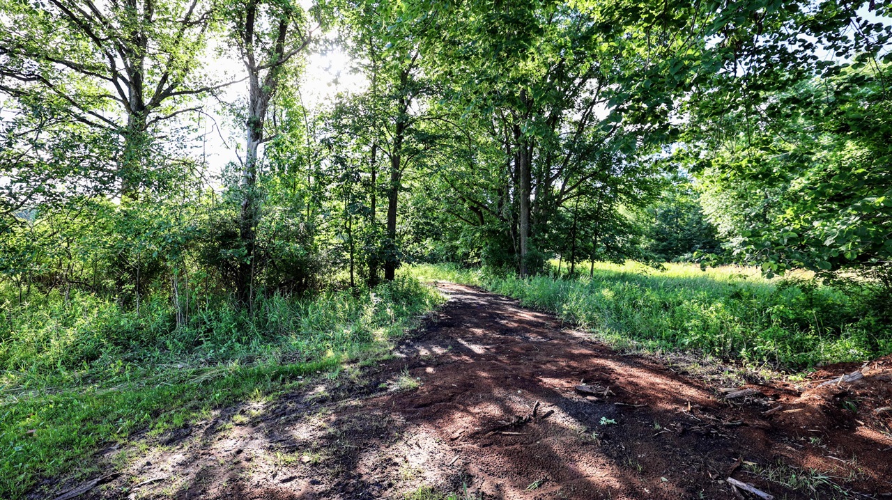 29 29 Mile Road Battle Creek, MI 49014 - Photo 47 of 48