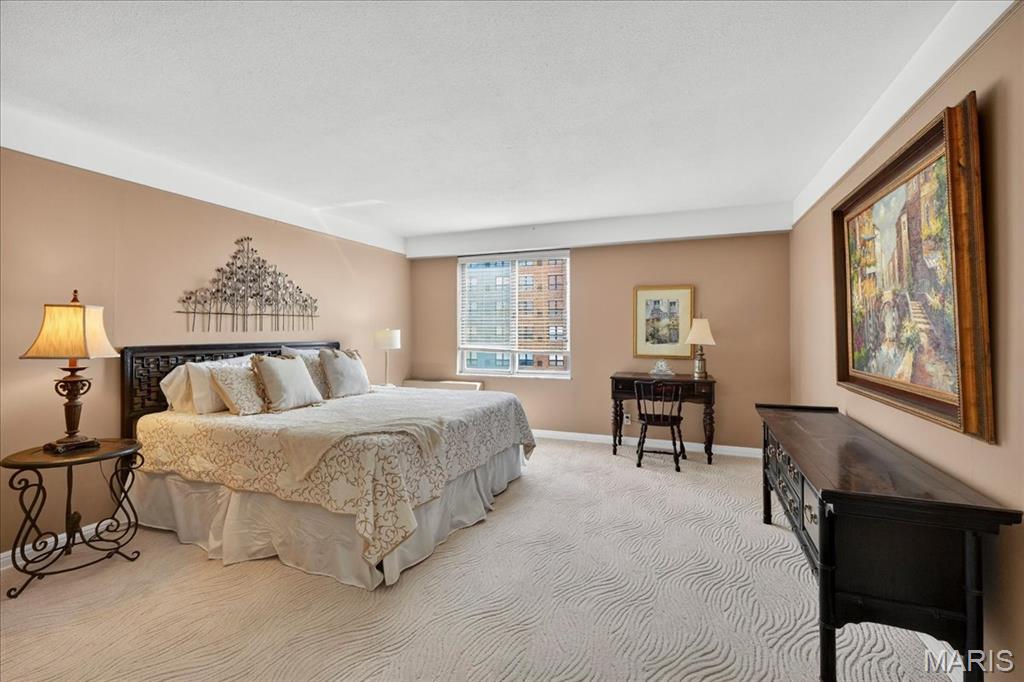 900 South Hanley Road, Unit 6C Clayton, MO 63105 - Photo 15 of 23