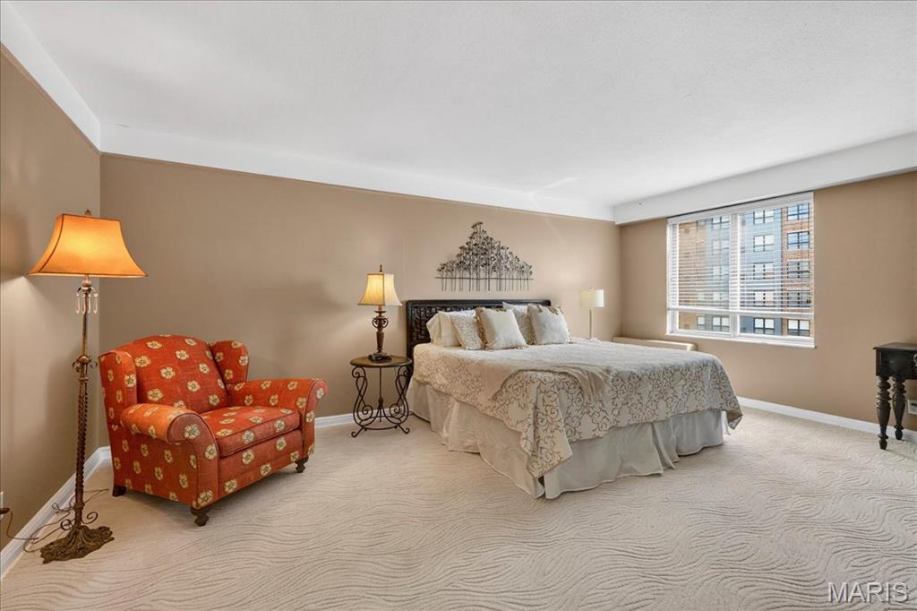 900 South Hanley Road, Unit 6C Clayton, MO 63105 - Photo 16 of 23