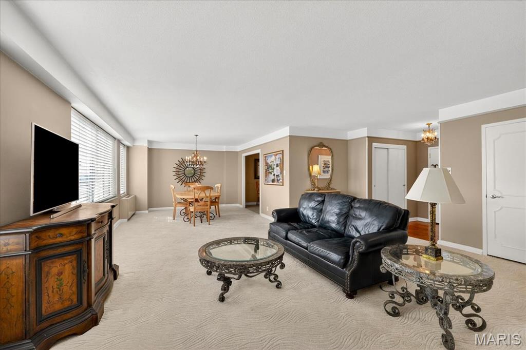 900 South Hanley Road, Unit 6C Clayton, MO 63105 - Photo 3 of 23