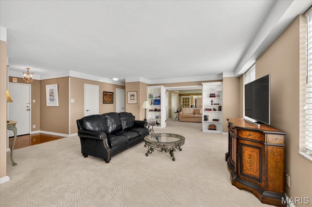 900 South Hanley Road, Unit 6C Clayton, MO 63105 - Photo 10 of 23