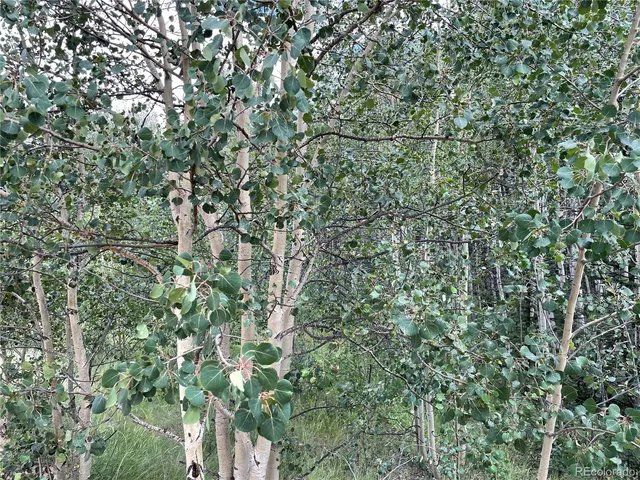 $54,000 | 6325 Remington Road, Como, CO 80432