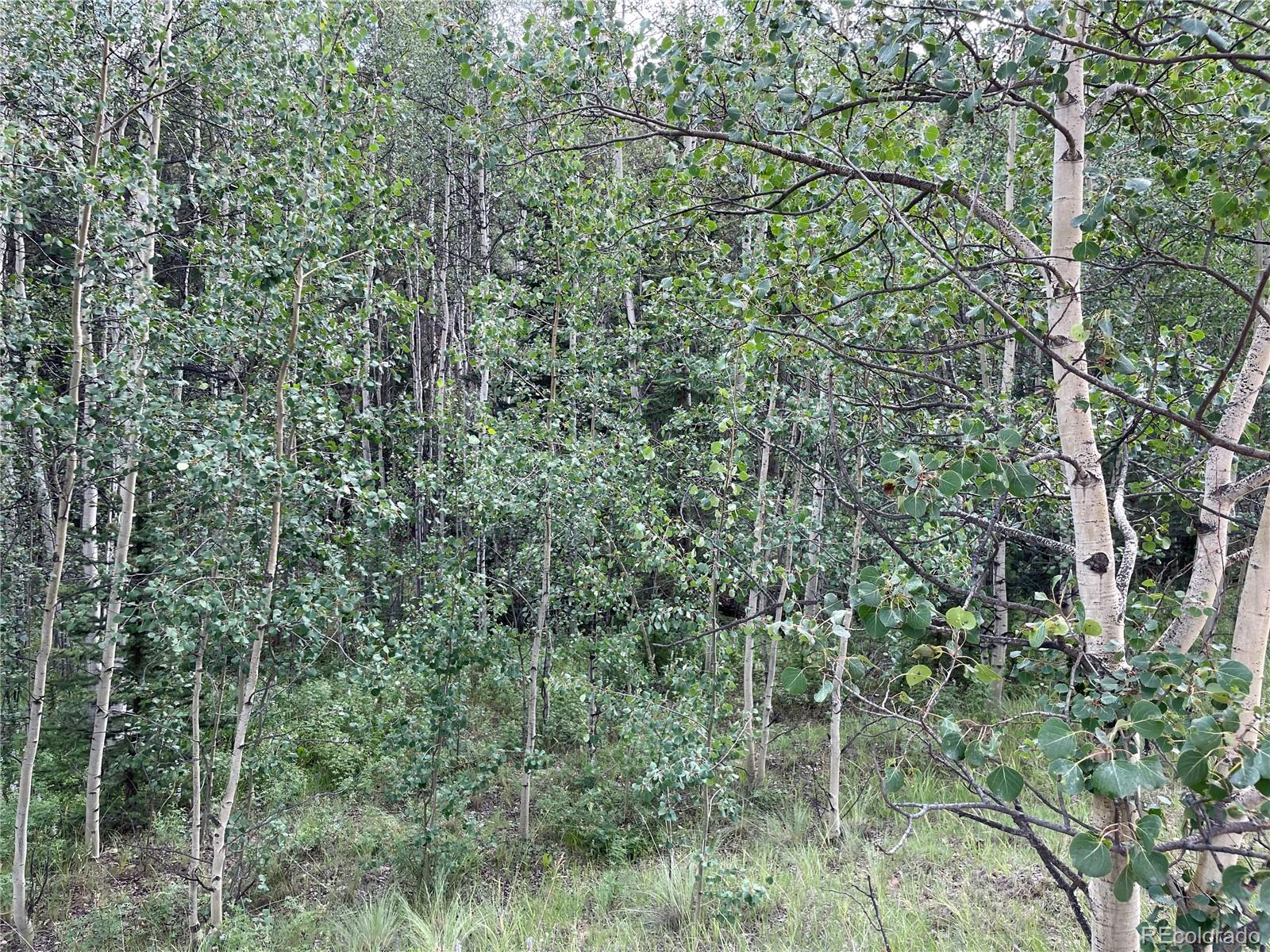 6325 Remington Road Como, CO 80432 - Photo 3 of 12