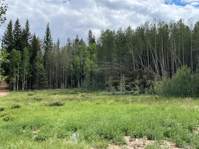 $54,000 | 6325 Remington Road, Como, CO 80432