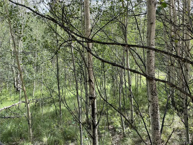 $54,000 | 6325 Remington Road, Como, CO 80432