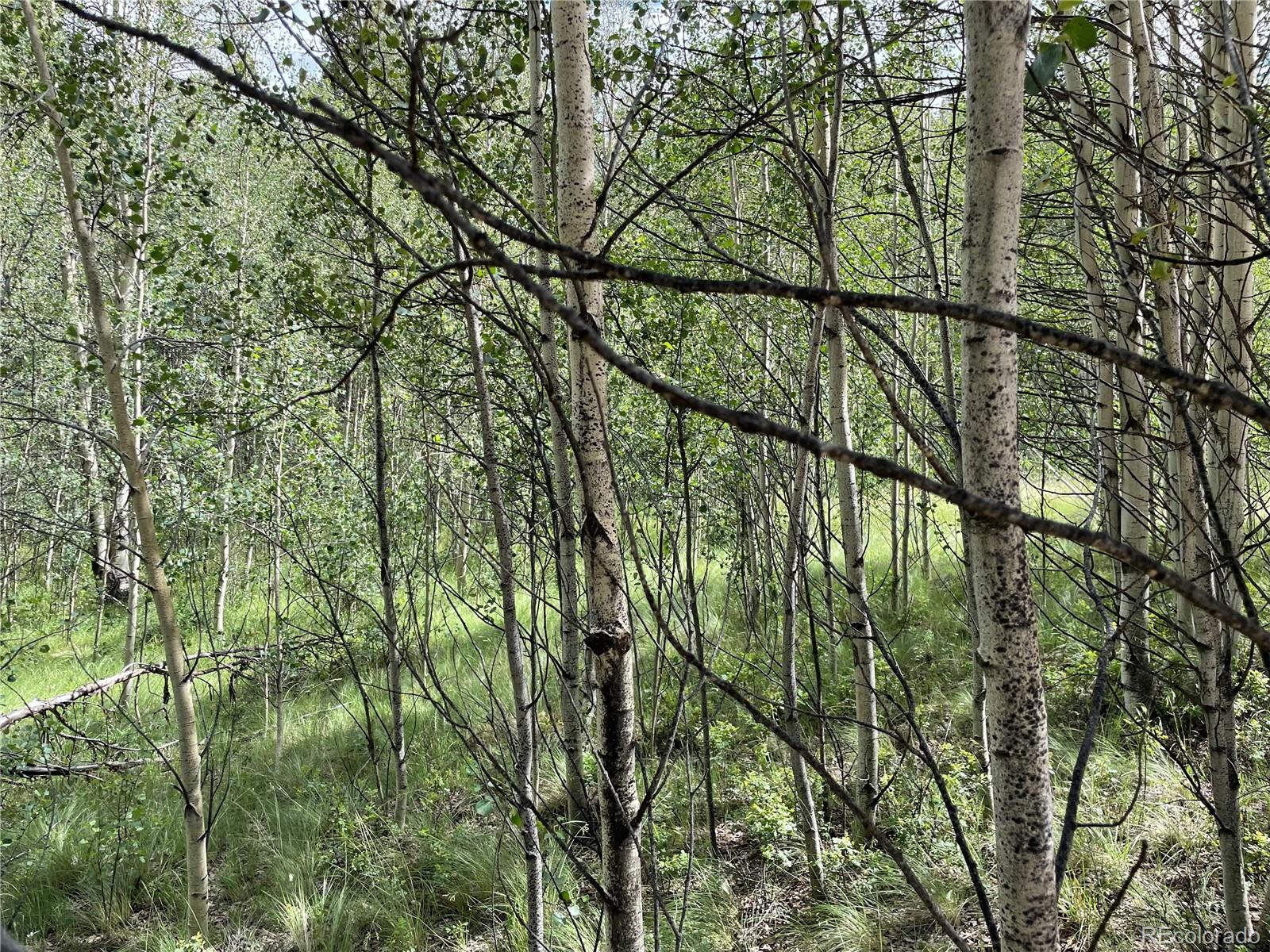 6325 Remington Road Como, CO 80432 - Photo 5 of 12