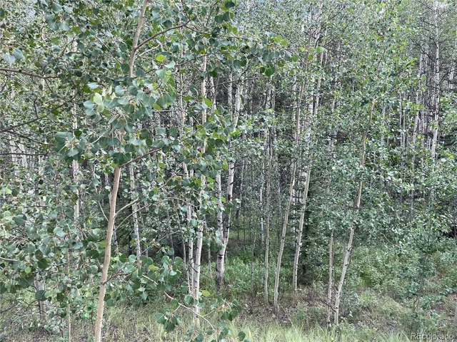 $54,000 | 6325 Remington Road, Como, CO 80432