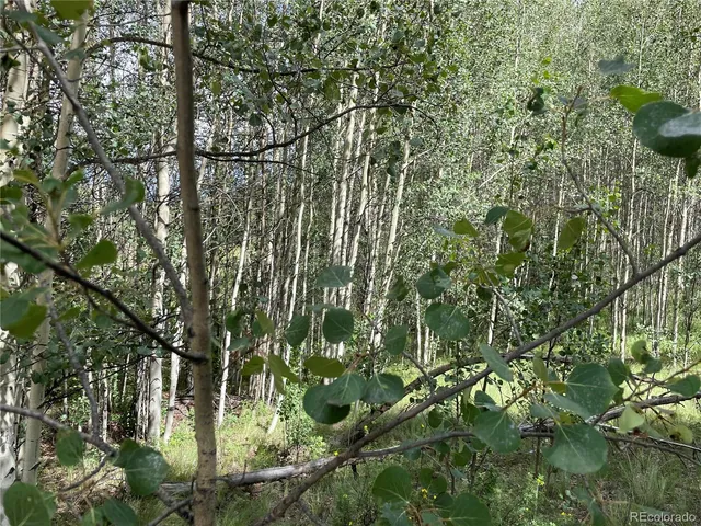 $54,000 | 6325 Remington Road, Como, CO 80432