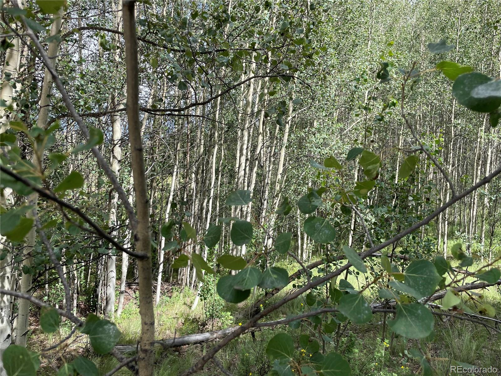 6325 Remington Road Como, CO 80432 - Photo 8 of 12