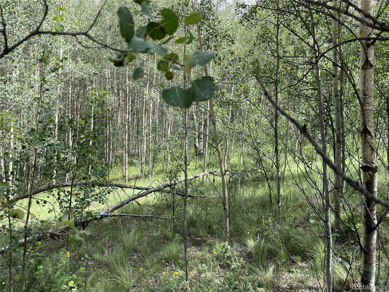 6325 Remington Road Como, CO 80432 - Photo 9 of 12