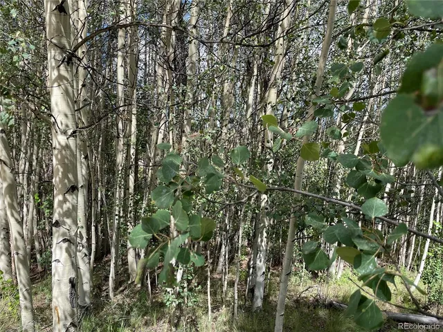 $54,000 | 6325 Remington Road, Como, CO 80432