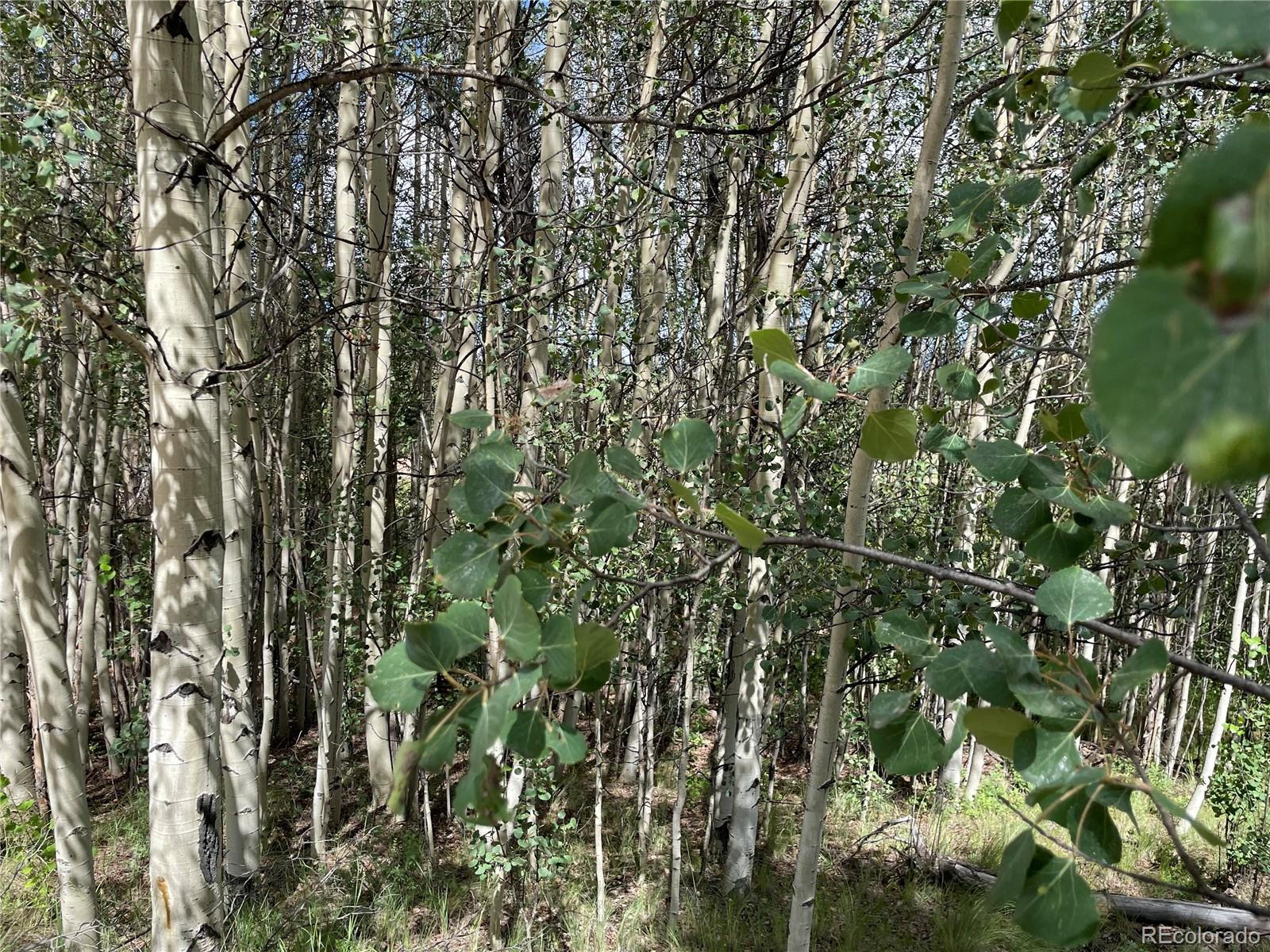 6325 Remington Road Como, CO 80432 - Photo 10 of 12