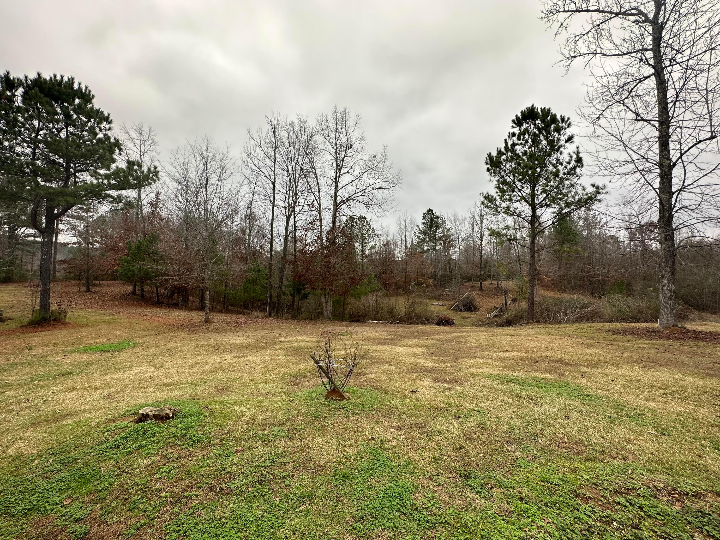 173 Barton Chapel Loop Road Cordova, AL 35550 - Photo 19 of 23 Gallery Image 19