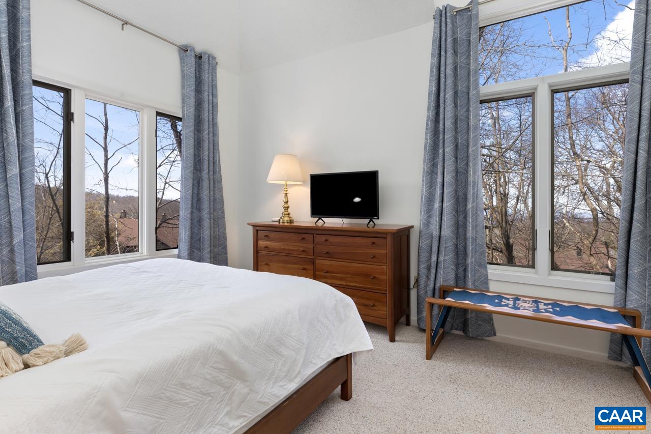 2016 Stone Rdg Wds Roseland, VA 22967 - Photo 13 of 32 a bedroom with a bed and a television