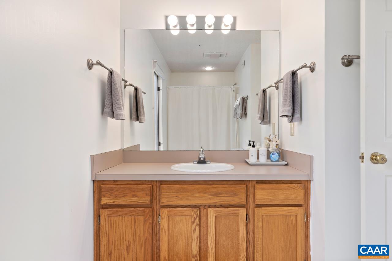 2016 Stone Rdg Wds Roseland, VA 22967 - Photo 14 of 32 a bathroom with a sink vanity and mirror
