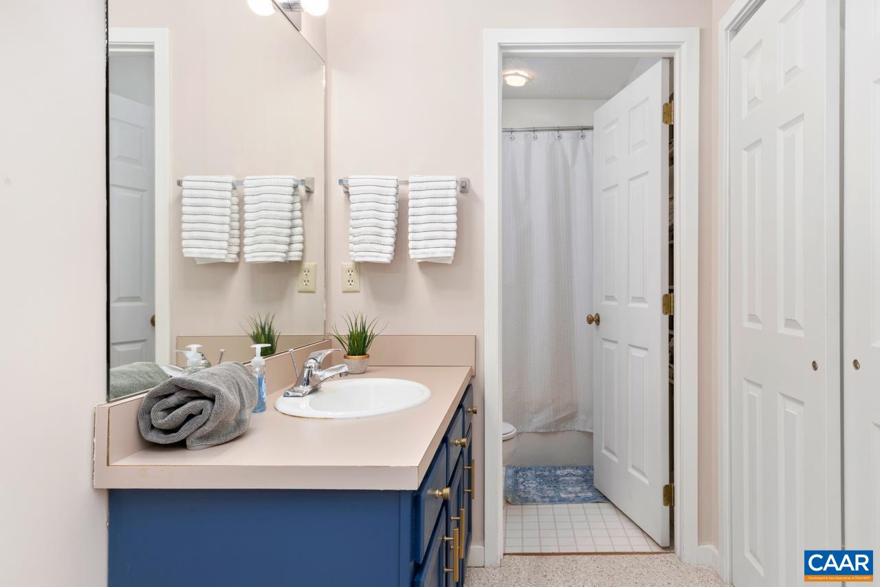 2016 Stone Rdg Wds Roseland, VA 22967 - Photo 26 of 32 a bathroom with a sink a toilet and shower