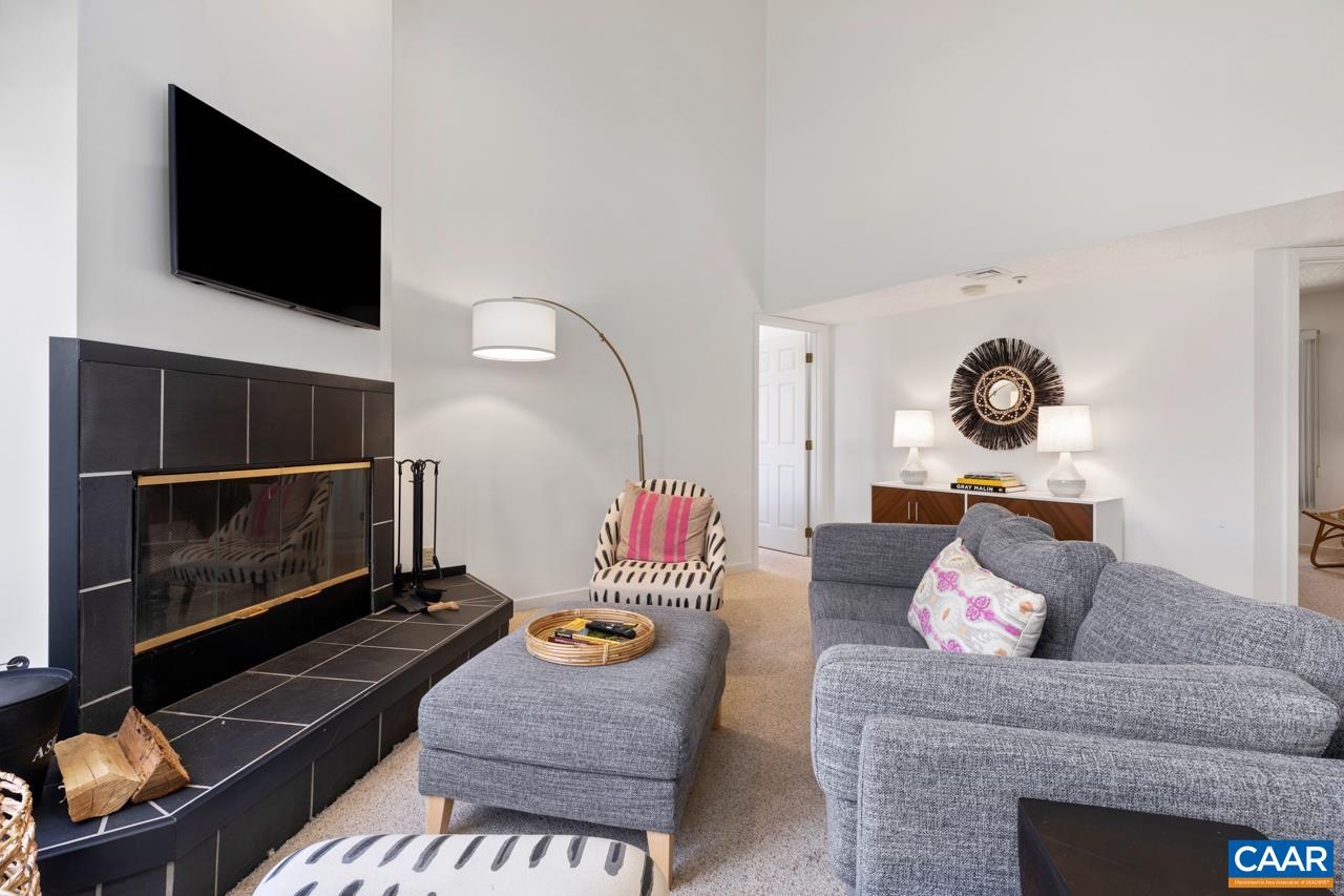 2016 Stone Rdg Wds Roseland, VA 22967 - Photo 3 of 32 a living room with furniture a flat screen tv and a fireplace