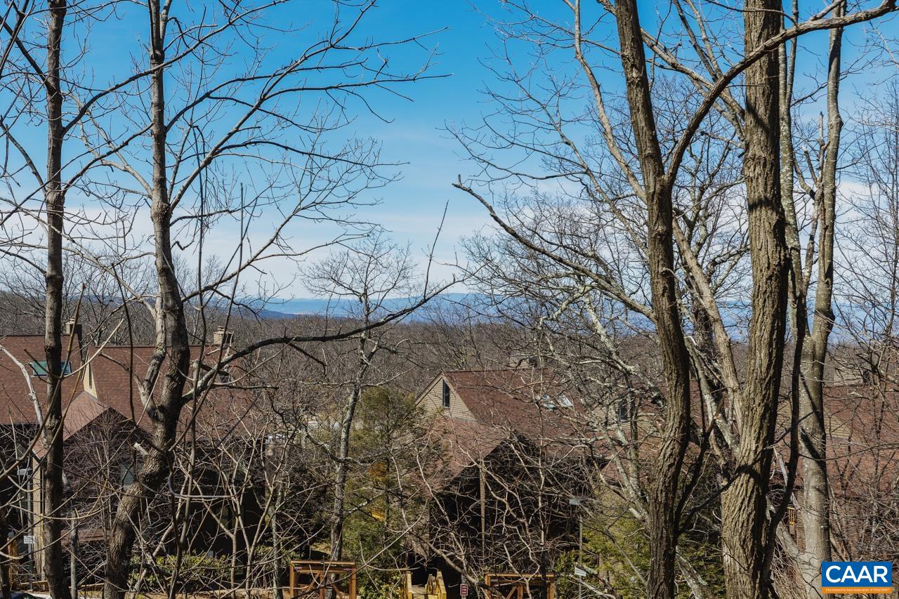 2016 Stone Rdg Wds Roseland, VA 22967 - Photo 32 of 32 a view of a yard with a tree