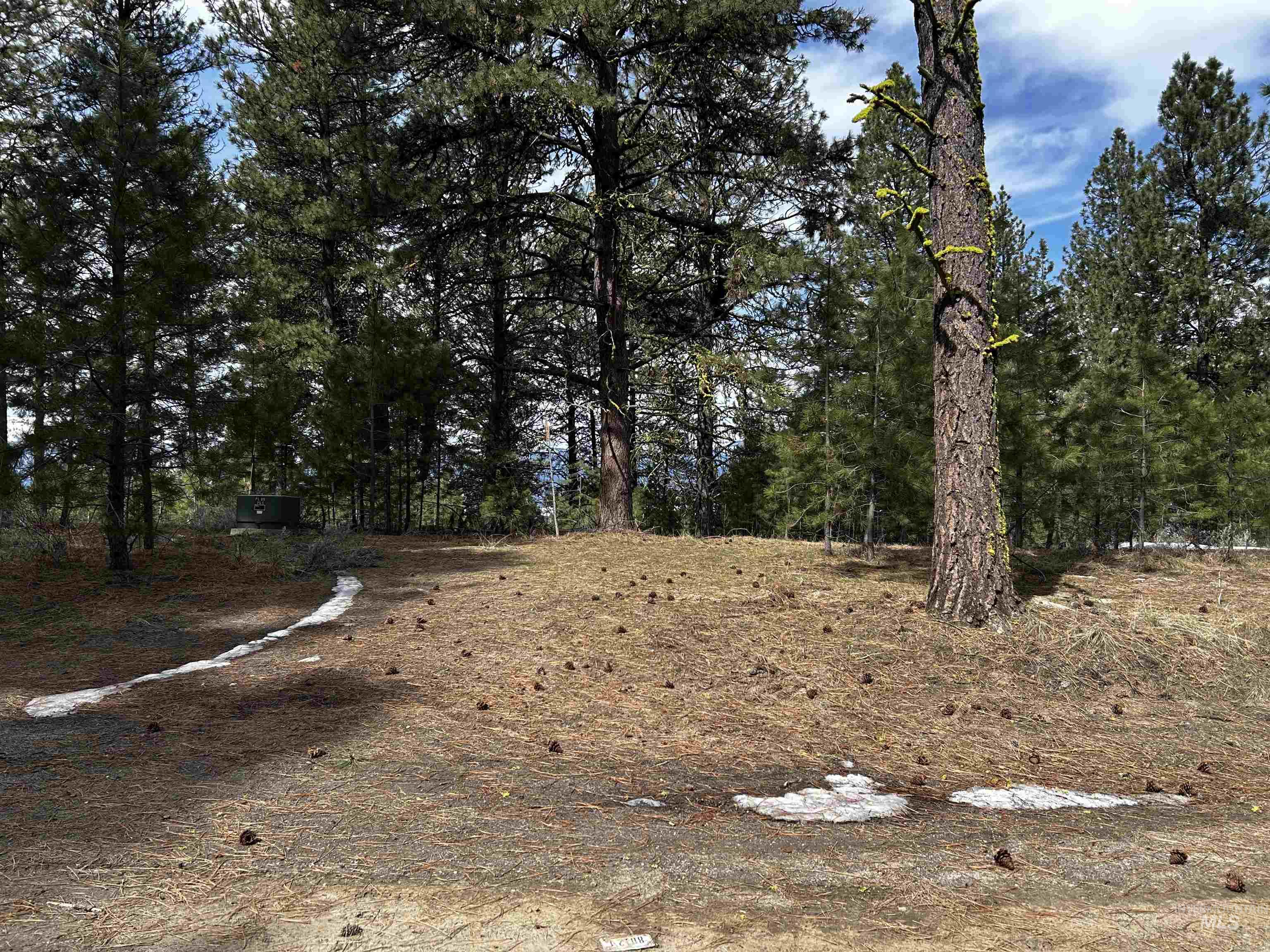 1483 Pine Lakes Ranch Drive Cascade, ID 83611 - Photo 5 of 20