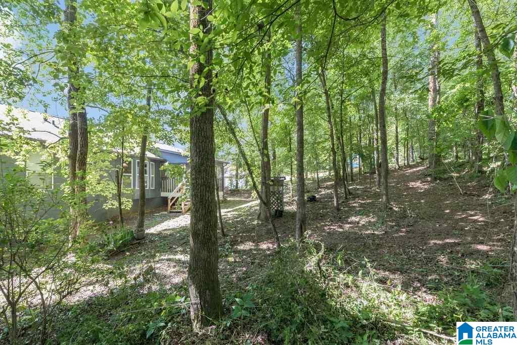 4423 Englewood Road Helena, AL 35080 - Photo 22 of 23