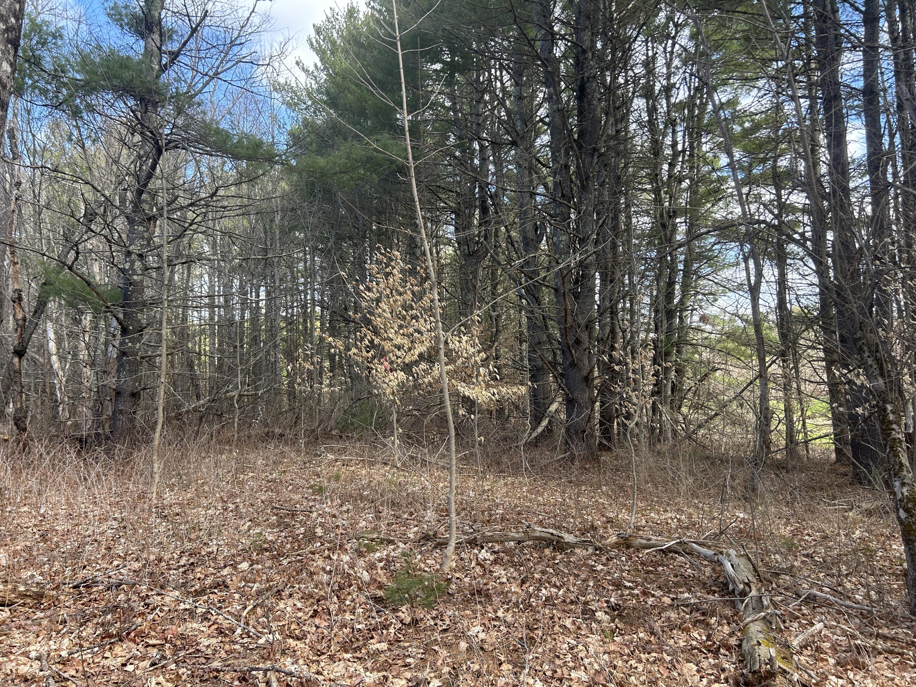 Lot 3 Back Troy Road Unity, ME 04988 - Photo 6 of 8 IMG_4901