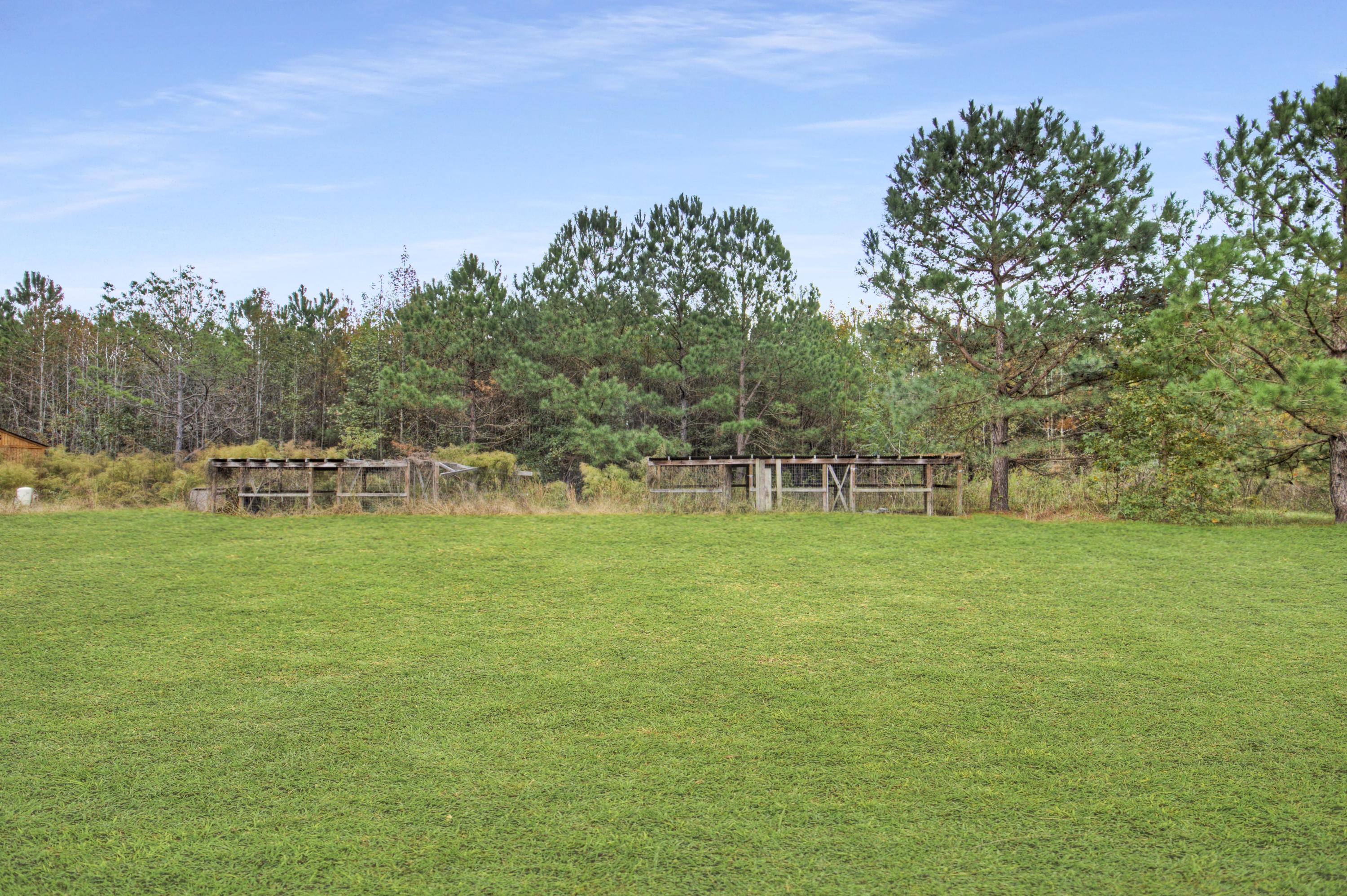 357 Mulberry Road St. George, SC 29477 - Photo 23 of 23 IMG_4700_1_2