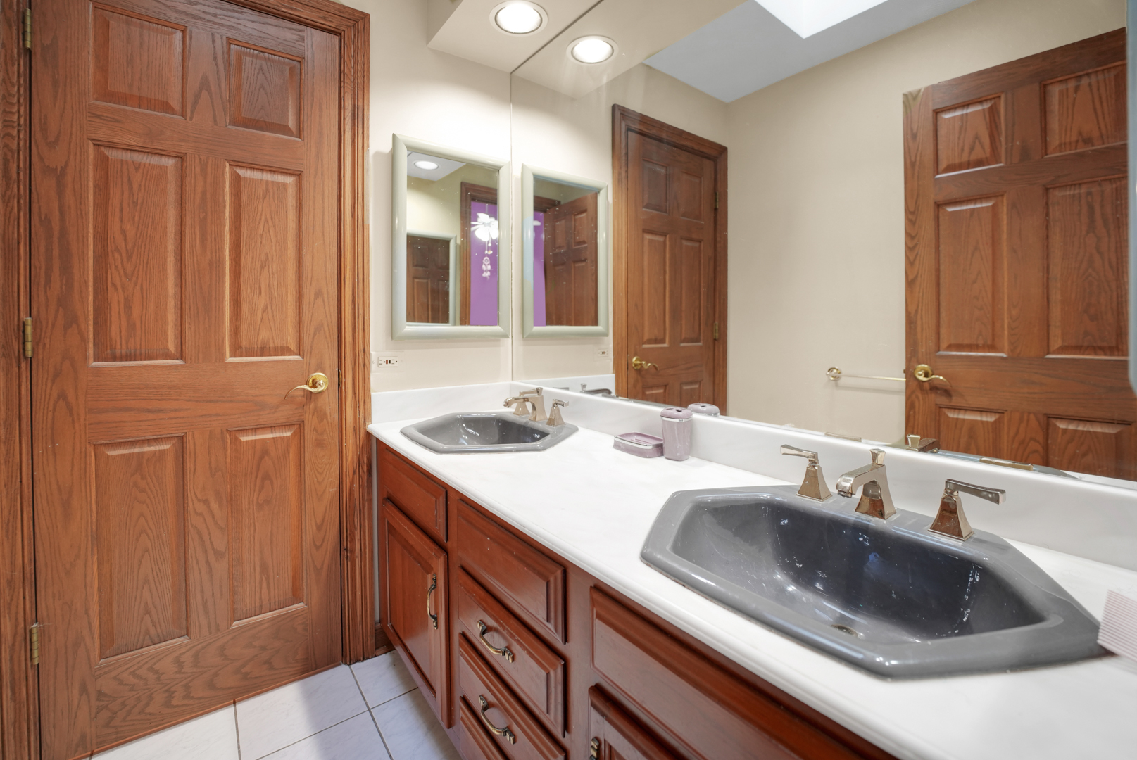 1816 Princeton Road Flossmoor, IL 60422 - Photo 16 of 26 a bathroom with a sink and a mirror