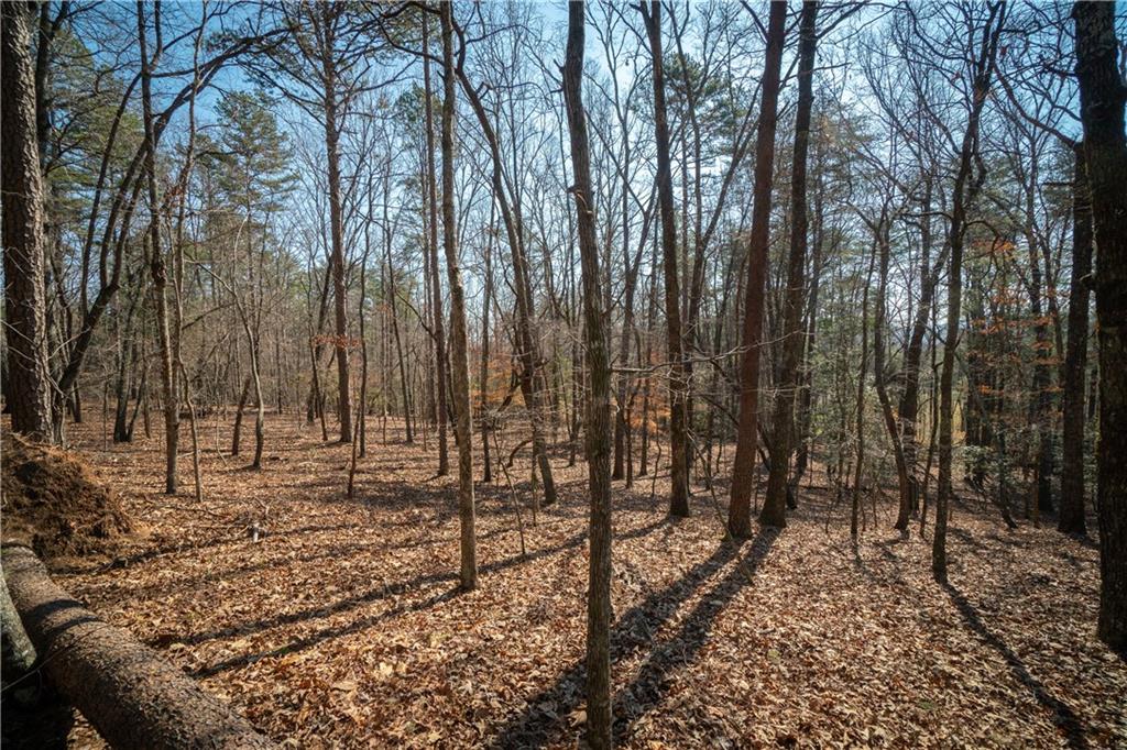 0 Jennys Cove Road Cleveland, GA 30528 - Photo 14 of 16 Gallery Image 14