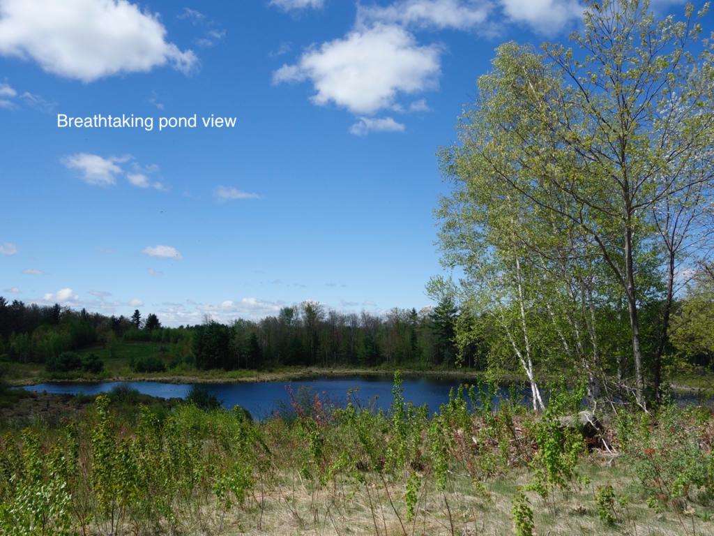 Lot 12 Firefly Circle Somersworth, NH 03878 - Photo 34 of 40 Gallery Image 34