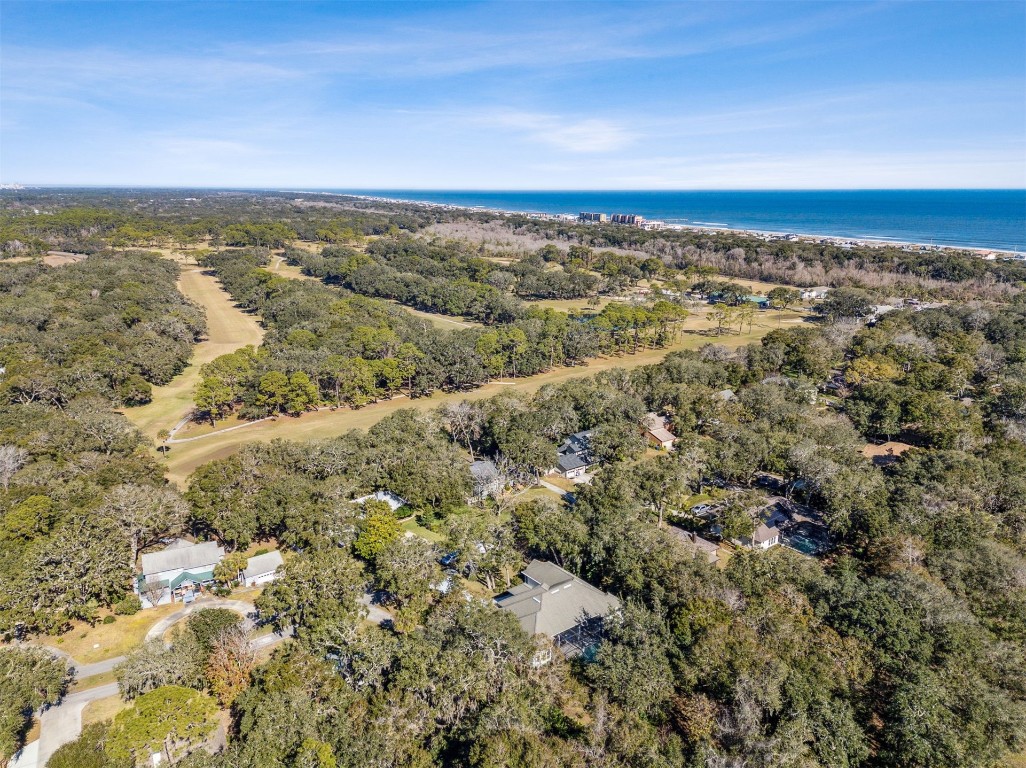 2418 Via Del Rey Road Fernandina Beach, FL 32034 - Photo 62 of 66 Aerial drone photo looking northeast show's 2418