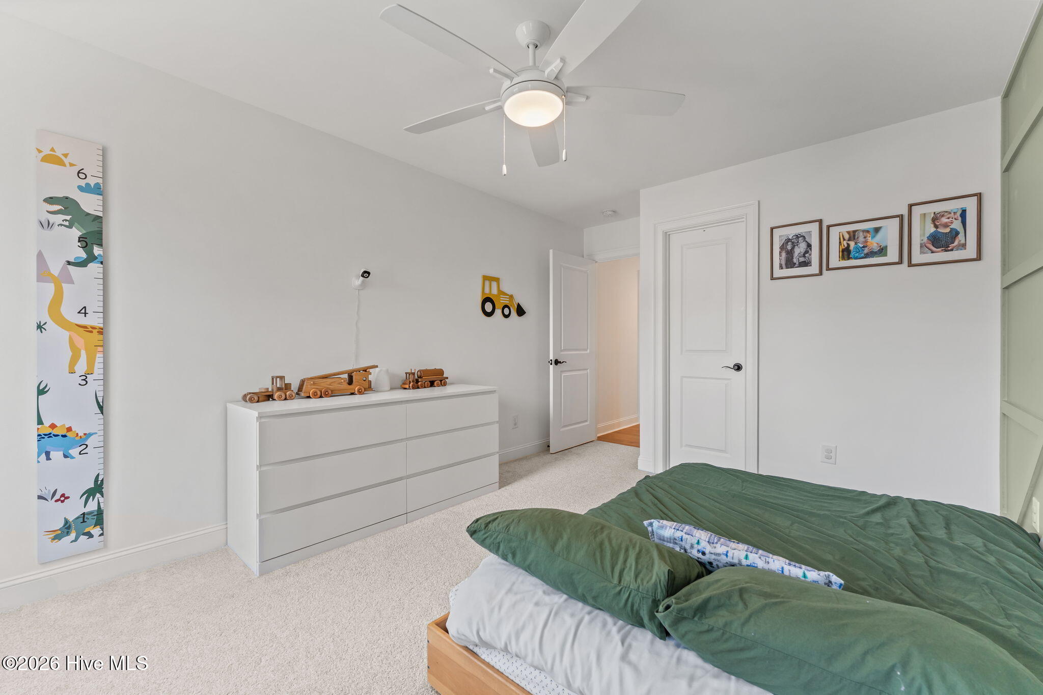 205 Luss Lane Southern Pines, NC 28387 - Photo 33 of 48 50-web-or-mls-DSC08186