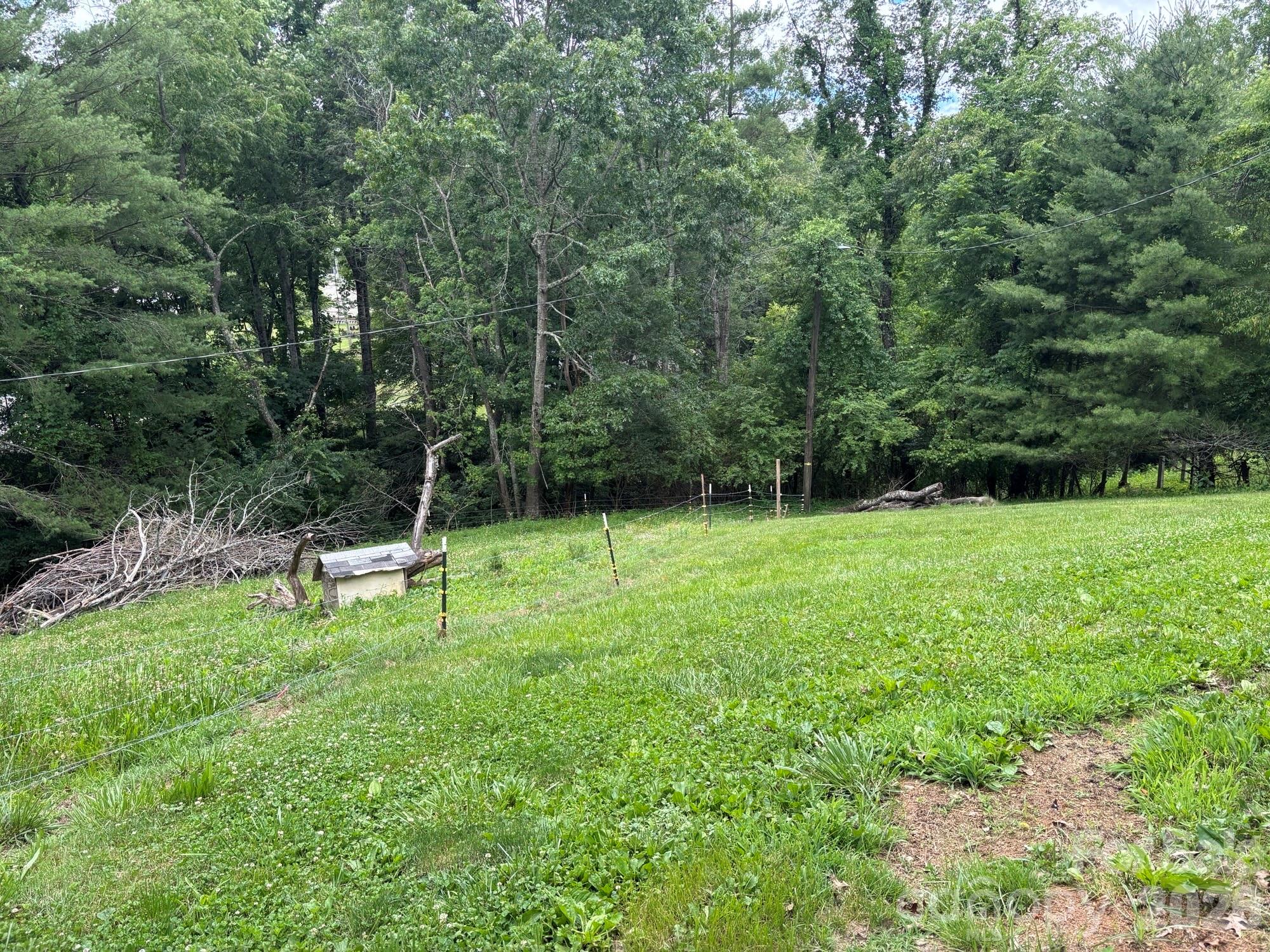 86 Jack Sullins Road Spruce Pine, NC 28777 - Photo 36 of 48