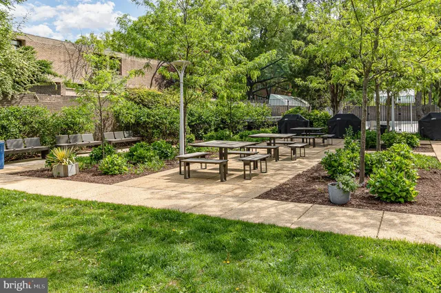 a view of garden with patio