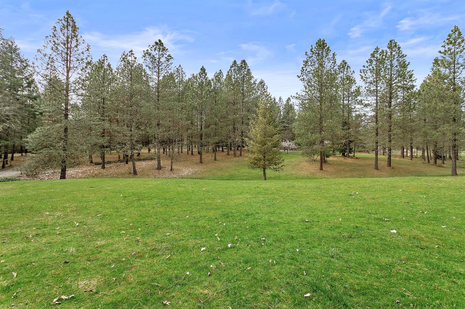 1000 Crow Road Merlin, OR 97532 - Photo 6 of 31 Additional Photo